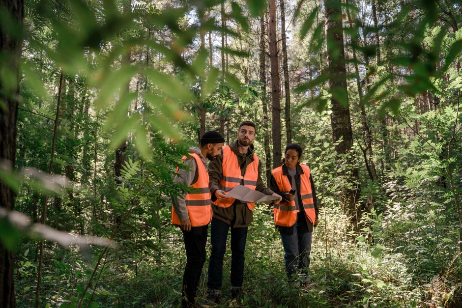 Three adults in safety vests examining a map in a lush forest setting, emphasizing teamwork.