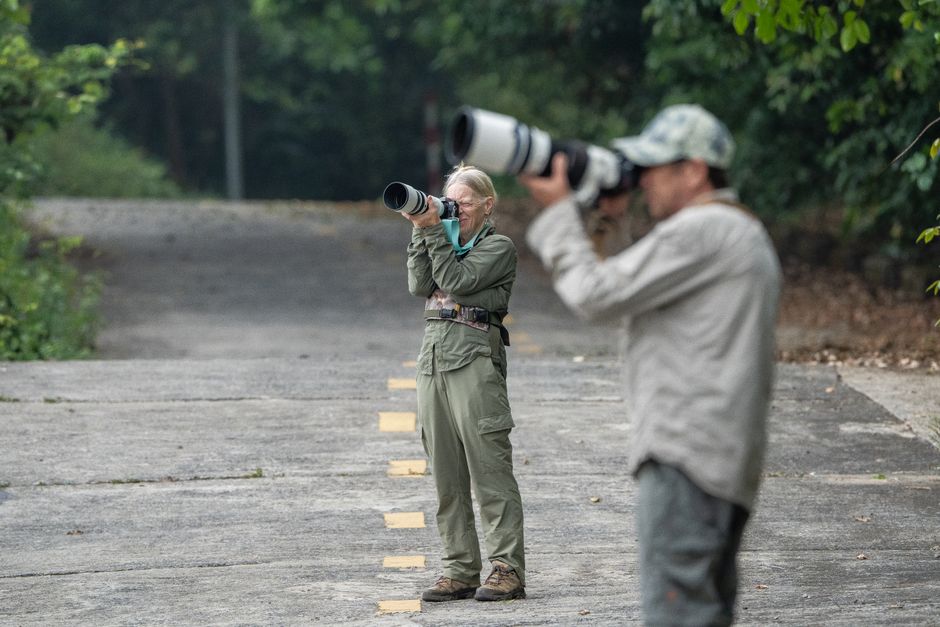 Two wildlife photographers with long lenses focus on capturing nature in a forested area.